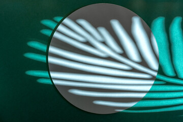 Composition empty podium material eucalyptus flowers. Product presentation. Background mocha ?olor. Beautiful background from natural materials