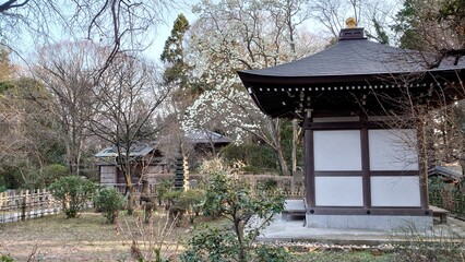 日本の寺院