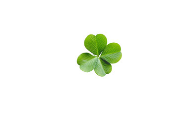 A clover leaf positioned elegantly in the center of a plain white background, showcasing its bright green color and rich texture, evoking a sense of peace and good luck