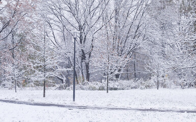 Snow-covered park landscape with bare trees during winter season in a quiet setting