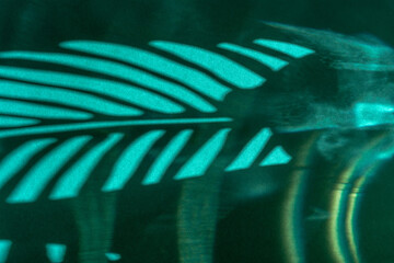 Abstract shadow sun glare from glass, empty background composition for product presentation. The background is beige. Showcase Nude Studio Minimal.