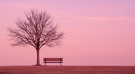 lonely bench in the park