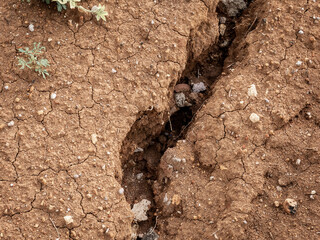 Dry soil with large cracks in the middle
