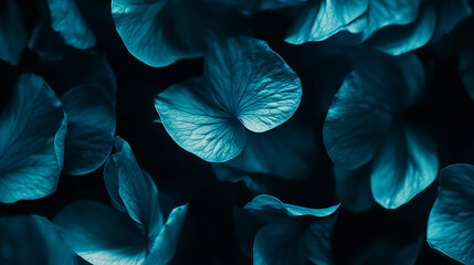 Obraz premium Ethereal cyan petals drifting in the dark