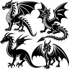 black and white dragon