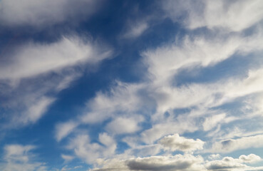 White feathery clouds in the blue sky, clouds as a pattern in the sky, fluffy white clouds in the blue sky stretching to the horizon.