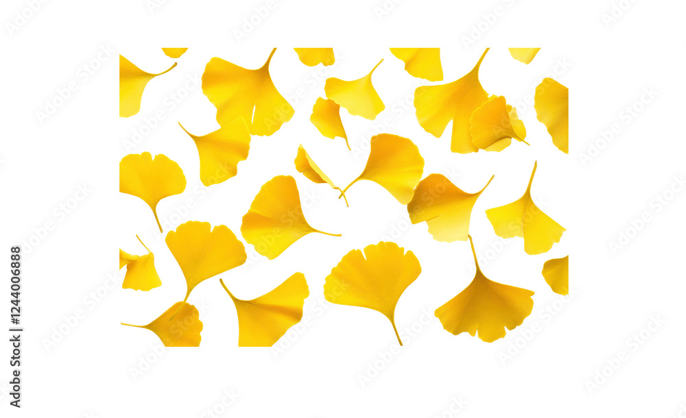 Poster a set of yellow ginkgo leaves artistically scattered across a white background, with some leaves ove
