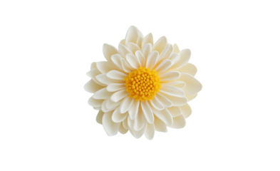 A vibrant daisy flower, its bright white petals and yellow core standing out vividly against a crisp white backdrop, ideal for branding or product design purposes.