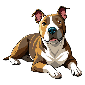 recommend clip art: american pit bull terrier dog isolated on white, Color vector illustration. Pet animal  