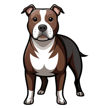 recommend clip art: american pit bull terrier dog isolated on white, Color vector illustration. Pet animal  