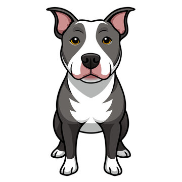 recommend clip art: american pit bull terrier dog isolated on white, Color vector illustration. Pet animal  