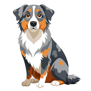 recommend clip art: australian shepherd dog isolated on white, Color vector illustration. Pet animal  