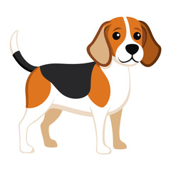 beagle dog isolated on white, Color vector illustration. Pet animal  