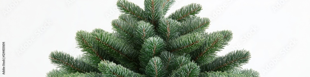 Poster close-up shot of a pine tree on a white background