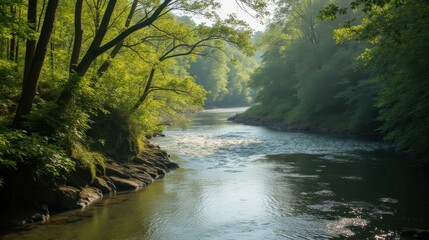 Serene River Flowing Through Lush Green Forest Landscape