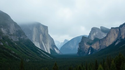Majestic Mountain Valley Surrounded by Fog and Green Forests