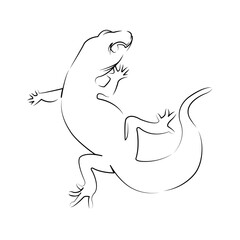 One continuous line art drawing flat illustration gecko, reptile, animal, spotted, close-up, nature. Isolated image hand draw outline on white background