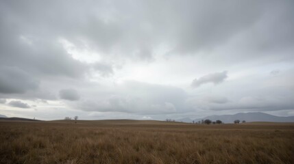 Expansive Grassland under Overcast Sky with Distant Mountains