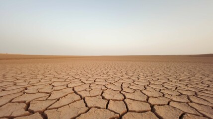 Fototapeta premium Expansive Dry Landscape with Cracked Earth Under Clear Sky