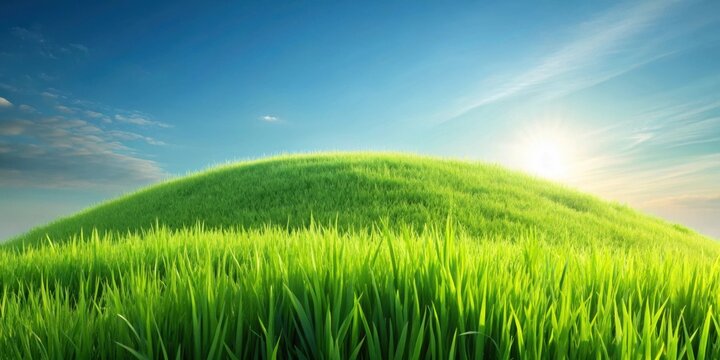 Serene landscape of a gently rolling grassy hill under a vibrant sky
