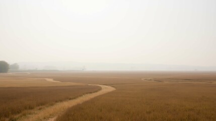 Serene Landscape of Golden Fields Under Foggy Sky at Dusk