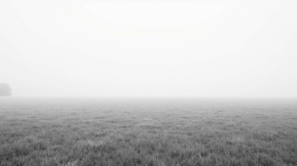 Obraz premium Serene Foggy Landscape with Grass in Minimalistic Black and White