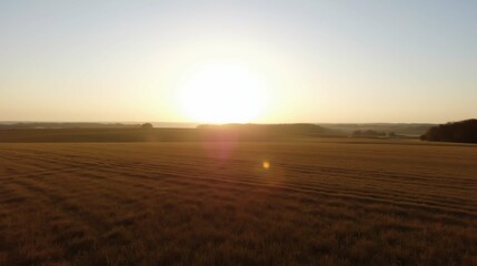 Fototapeta premium Serene Sunrise Over Open Fields with Golden Wheat Under Clear Sky