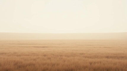 Obraz premium Serene Misty Landscape with Golden Grass Fields in Soft Light