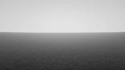 Minimalist Landscape in Black and White with Horizon and Grass