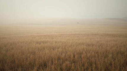 Misty Landscape with Golden Wheat Field and Soft Atmospheric Haze