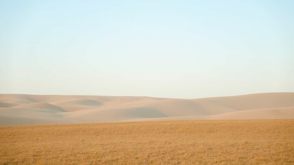Fototapeta premium Tranquil Desert Landscape with Warm Golden Hues and Soft Dunes