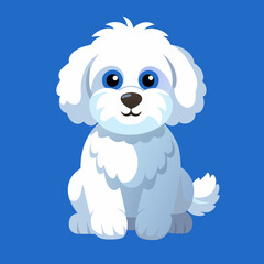 bichon frise dog isolated on white, Color vector illustration. Pet animal  