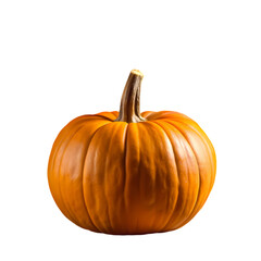 Obraz premium Single ripe orange pumpkin isolated on studio shot fall food life dark on transparent background