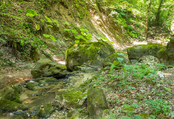 It's a sunny day. shallow river in the summer, walking along the shallow riverbed