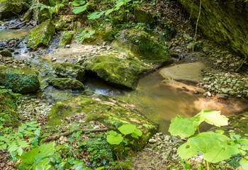 It's a sunny day. shallow river in the summer, walking along the shallow riverbed