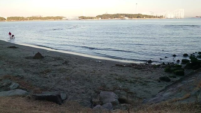 日本の海辺