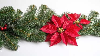 A single red poinsettia flower on a white background, simple and elegant