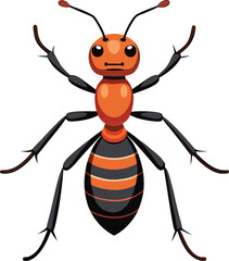 ant vector