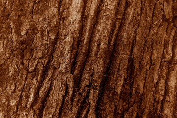 Texture of brown rock or mountain formation. Natural background