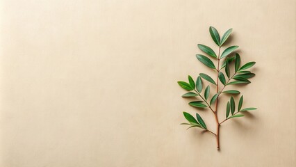Simple Green Branch on Beige Background, Ideal for Minimalist Designs