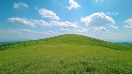 Fototapeta premium Rolling green hills stretch endlessly under a brilliant blue sky adorned with fluffy white clouds. The warm sunlight creates a serene atmosphere, perfect for outdoor adventures and relaxation