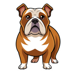 Obraz premium bulldog dog isolated on white, Color vector illustration. Pet animal 