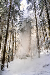 Pieniny , góry, zima, śnieg, Karpaty, mgły, Tatry, Dunajec © Daniel Folek