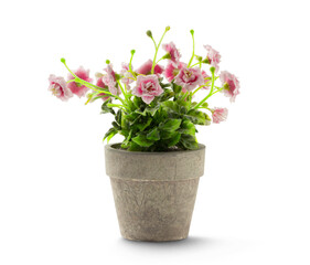 Artificial houseplant in a pot isolated on transparent background