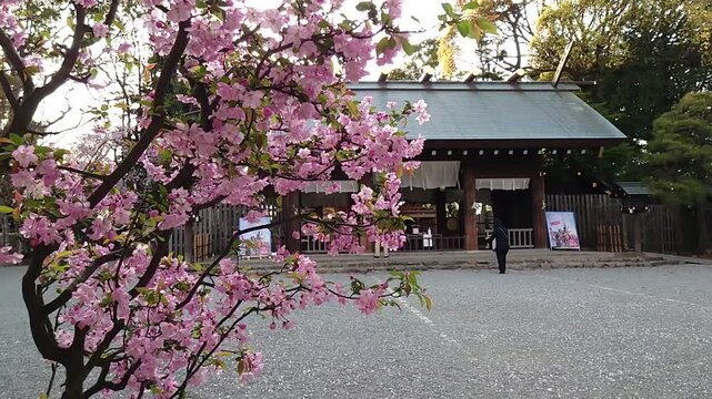 日本の寺院風景