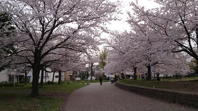 日本の寺院風景