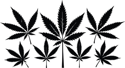 Cannabis  leaf  silhouette set,Cannabis  leaf  black icon bundle