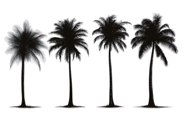 Set of black palm trees on a transparent background. PNG