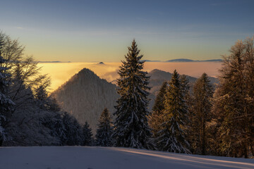 Pieniny , góry, zima, śnieg, Karpaty, mgły, Tatry, Dunajec