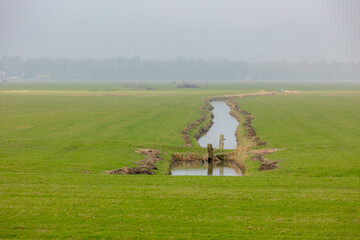 Winter countryside landscape, Flat and low land with mist or fog in morning, Typical Dutch polder...